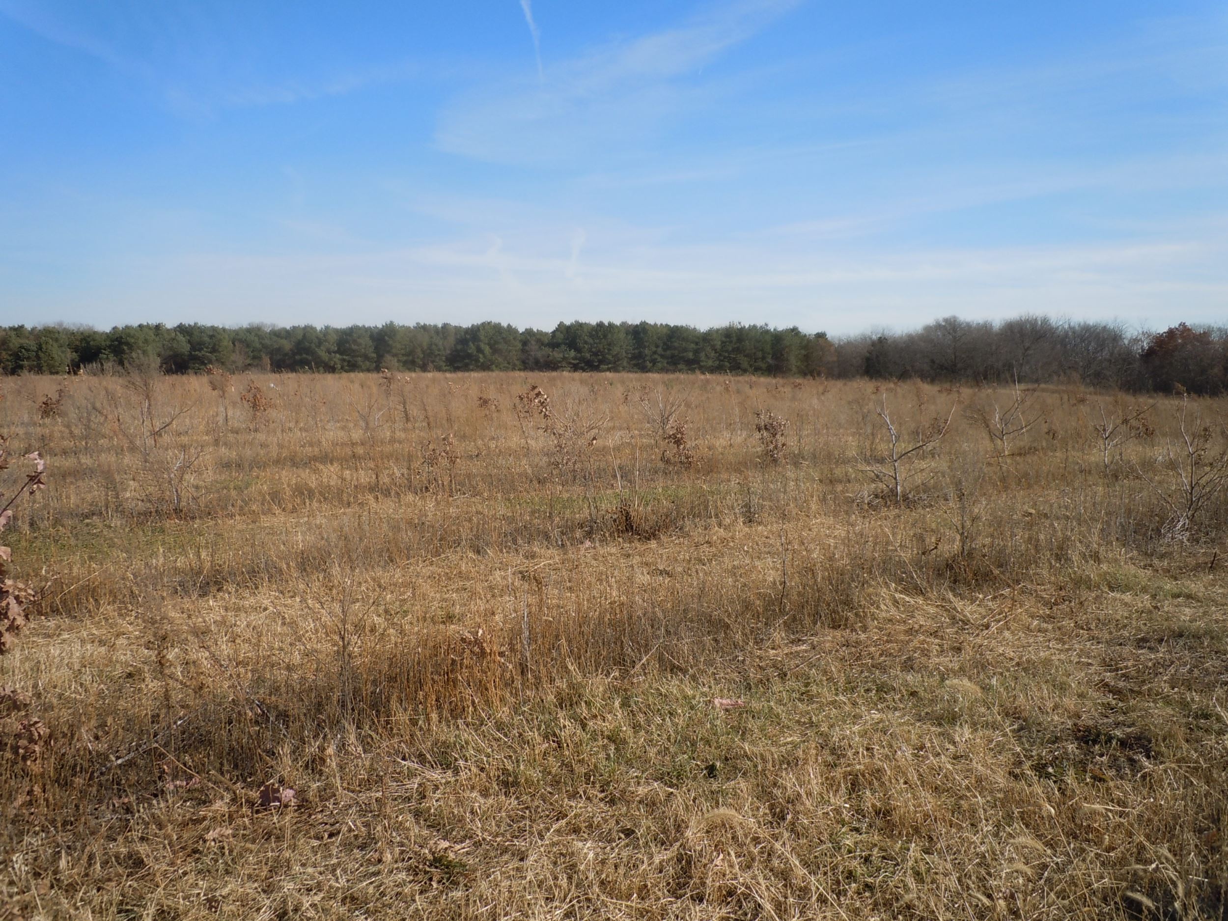 As Nature Intended - Iowa Landowner Options